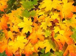 season, time period