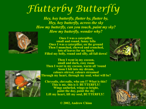 Flutterby Butterfly