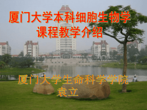 3 厦门大学-袁立