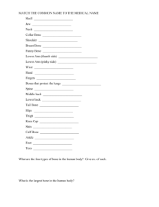 MATCH THE COMMON NAME TO THE MEDICAL NAME