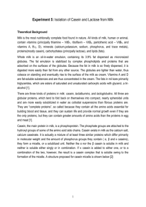 Experiment 5: Isolation of Casein and Lactose from Milk
