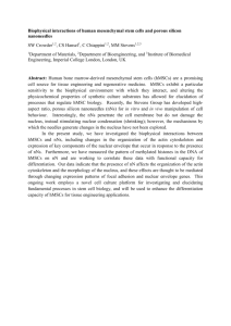 2015 Whitaker Conference Abstract, SW Crowder