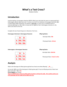 What`s a Test Cross? KEY