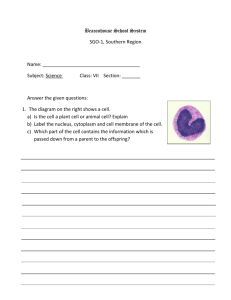 Worksheet - Animal & Plant Cells