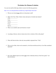 Worksheet for Human Evolution