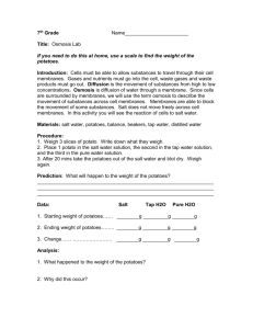 Osmosis Lab - MsBeckman7thGradeScience