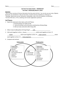 Cell Cycle