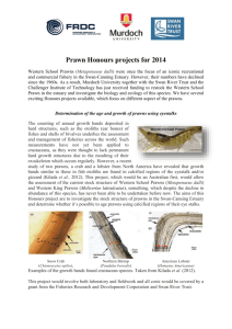 Several Honours projects focusing on different aspects of
