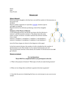 Meiosis Lab - Cloudfront.net