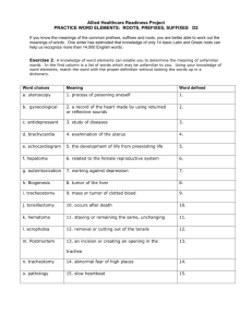 Practice Word Elements: Roots, Prefixes, Suffixes