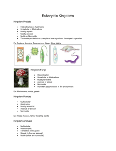 Eukaryotic Kingdoms Notes