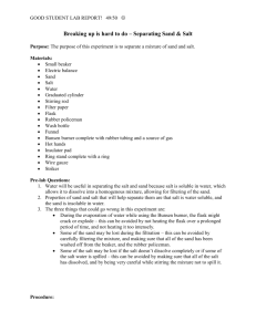 Good Student Sand-Salt Lab Report