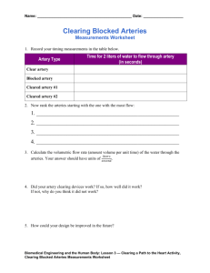 Clearing Blocked Arteries Measurements Worksheet (doc)