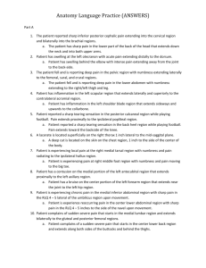 Anatomy Language Practice (ANSWERS) - Weebly