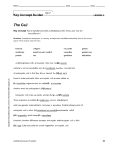 Key Concept Builder with ANSWERS