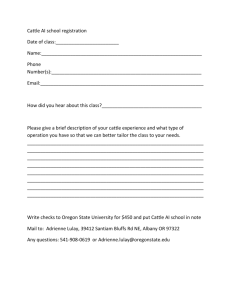 Cattle AI school registration