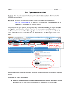 Fruit Fly Genetics Virtual Lab - Mercer Island School District