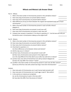 Mitosis and Meiosis Lab Answer Sheet