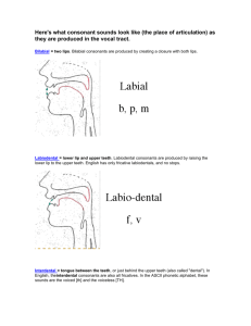 Here`s what consonant sounds look like (the place of