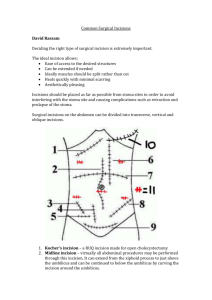 Common Surgical Incisions David Rassam Deciding the right type of