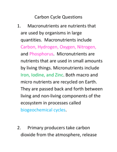 Carbon Cycle Homework Answer Key