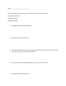 Name: Look at the following 3 scientific names for the North