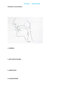 LECTURE 2 ARTICULATORS Articulator and articulation 1