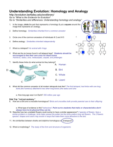 Understanding Evolution: Homology and Analogy