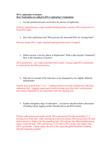 DNA replication worksheet – Watch the animations and answer