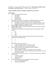 Chapter 8: Anatomy, Physiology, Behavior