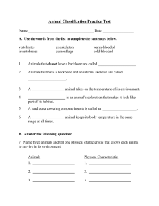 Vertebrates and Invertebrates Test