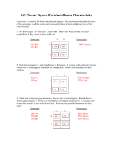 Punnett Square Worksheet