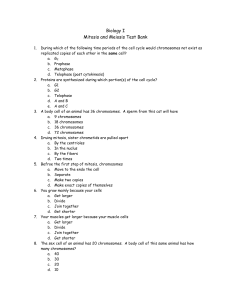 Mitosis and Meiosis Test Bank