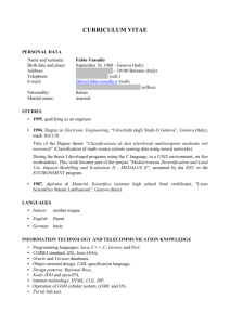 Curriculum vitae - english version