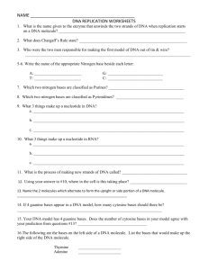 Ch. 12 DNA replication worksheet