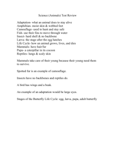 Science (Animals) Test Review