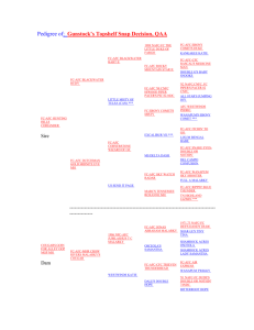 Pedigree of: Gunstock`s Topshelf Snap Decision, QAA