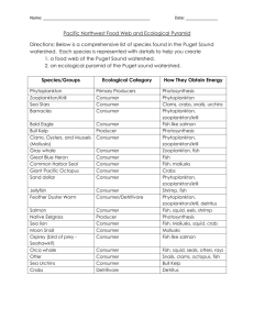 PNW Ecology Worksheet