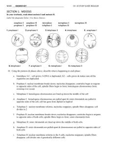 Ch. 10 Study Guide Answer Key