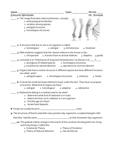 Evolution Worksheet