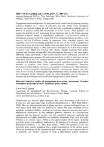 Workshop abstracts