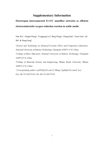 Supplementary Information Electrospun interconnected Fe