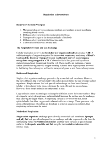 Respiration in invertebrate