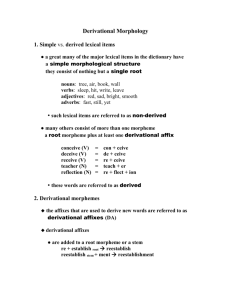 The Derivational Structure of Words