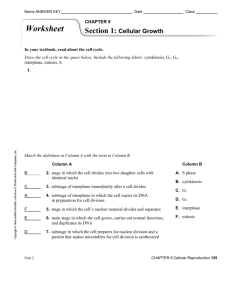 Ch. 9 Worksheet Answer Key