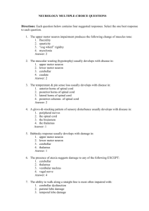 NEUROLOGY MULTIPLE