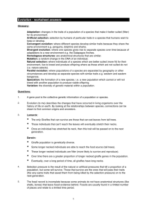 Evolution - worksheet answers