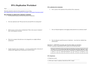 DNA replication worksheet – Watch the animations and answer