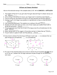 Rachel Hurlbut Sept 3 Bio 10 Diffusion Diffusion Osmosis Osmosis