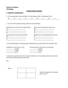 Genetics Problems AP Biology MONOHYBRID CROSSES I